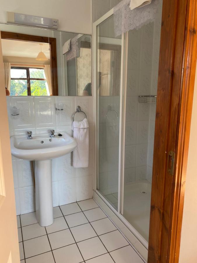 Affittacamere Davmar House Blarney Cork Esterno foto